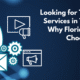  IT Company Tampa – Choose ICSI for IT Services Tampa